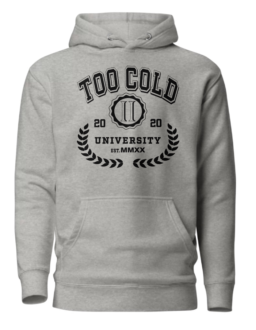 University Hoodie