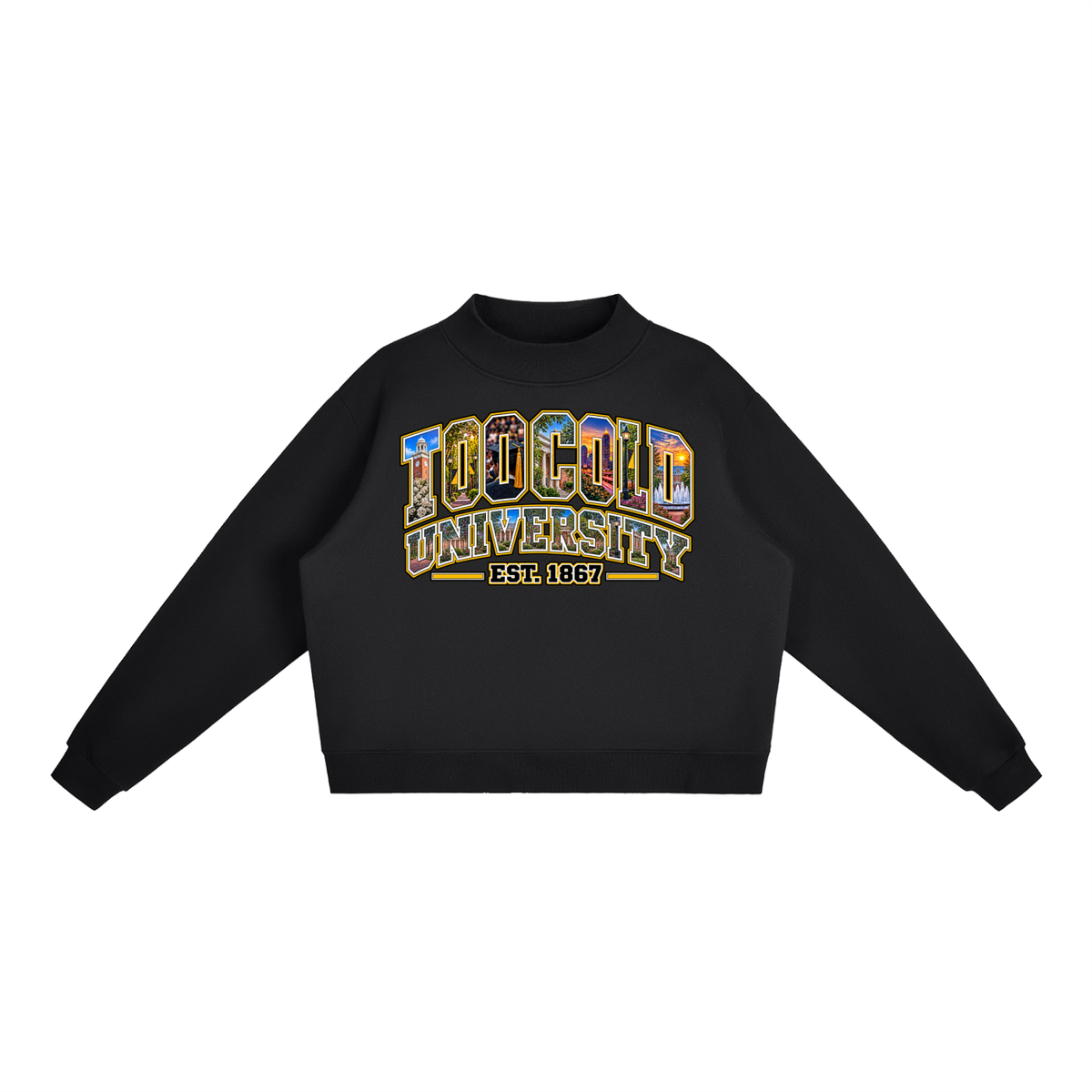 HBCU Too Cold Hoodie