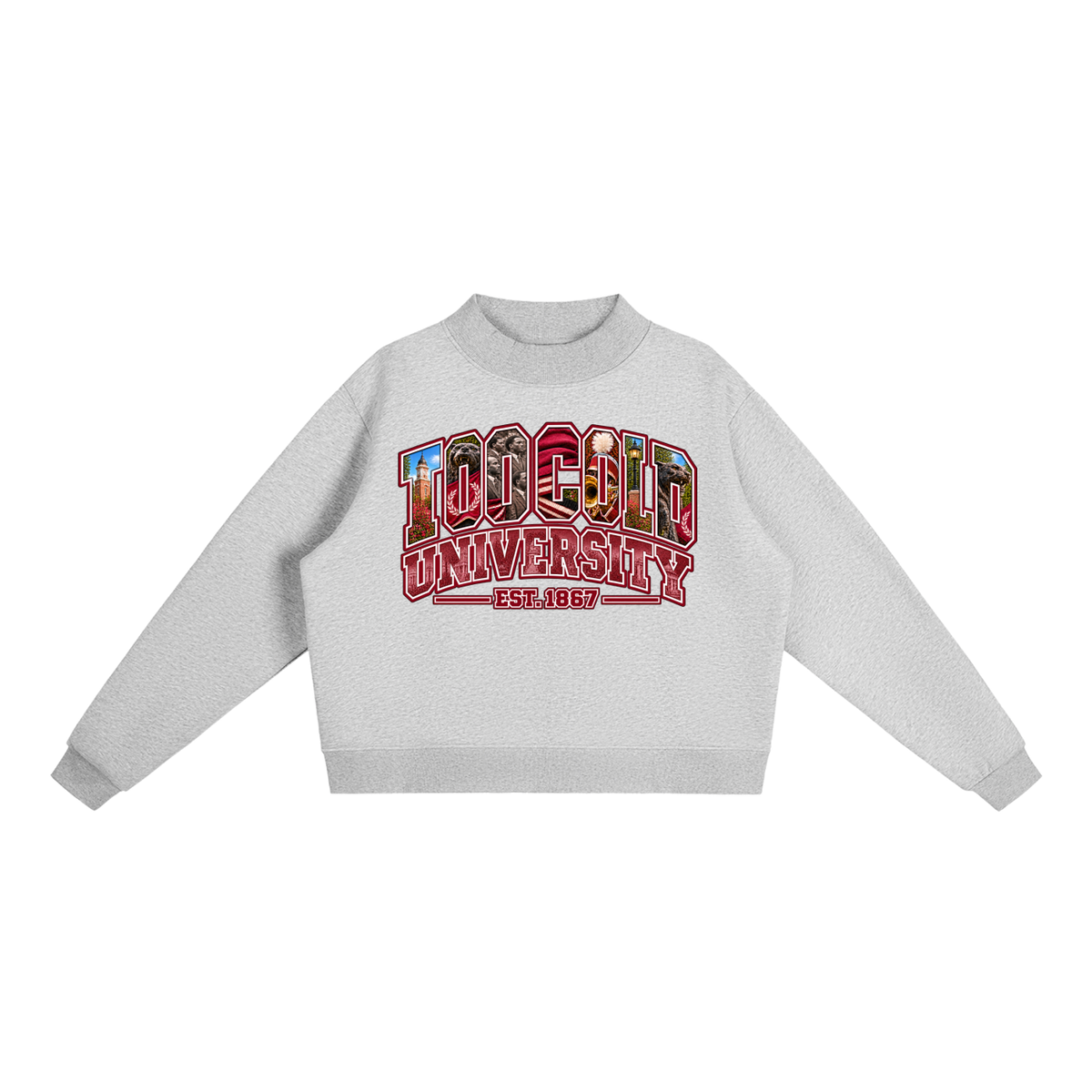HBCU Too Cold Hoodie