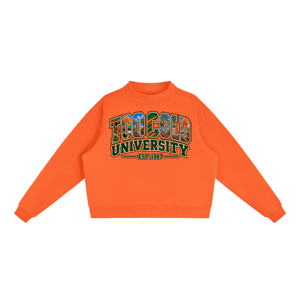 HBCU Too Cold Hoodie