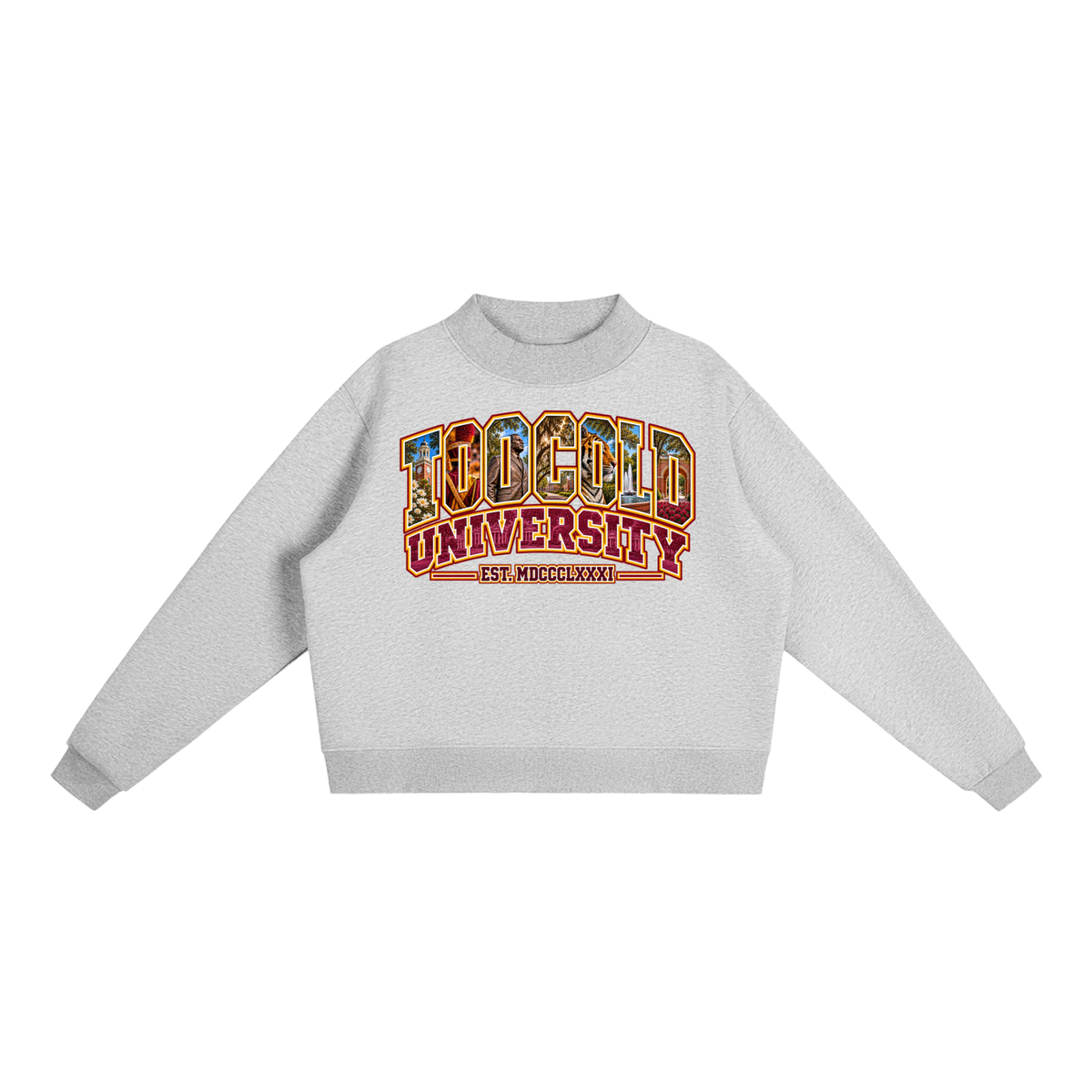 HBCU Too Cold Hoodie