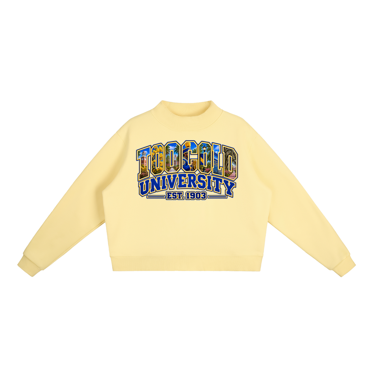 HBCU Too Cold Hoodie