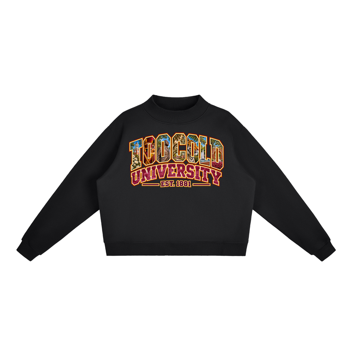 HBCU Too Cold Hoodie