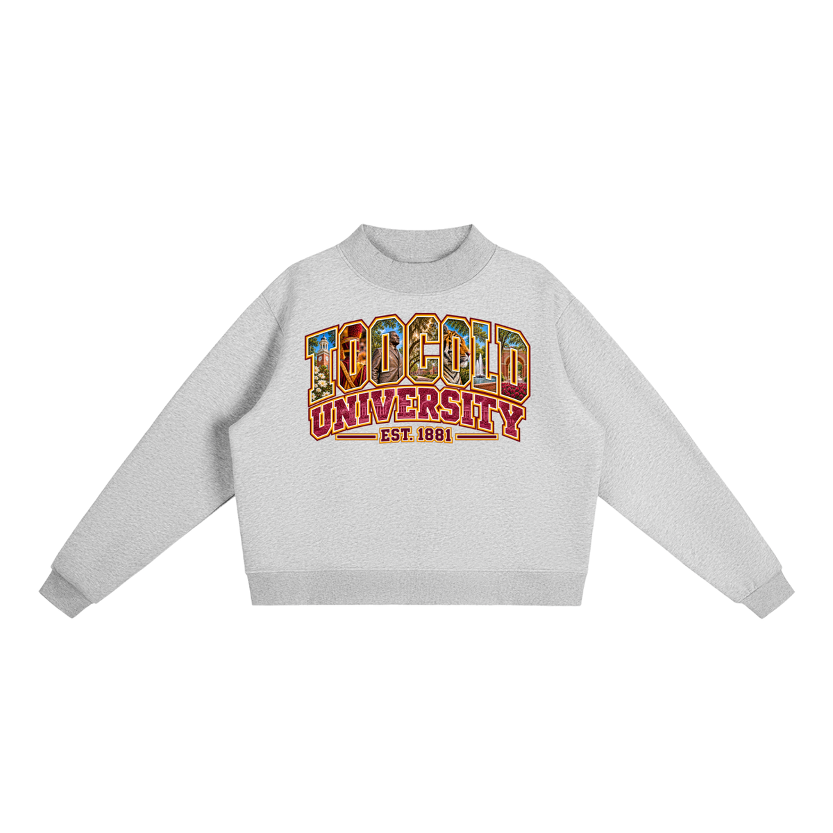 HBCU Too Cold Hoodie