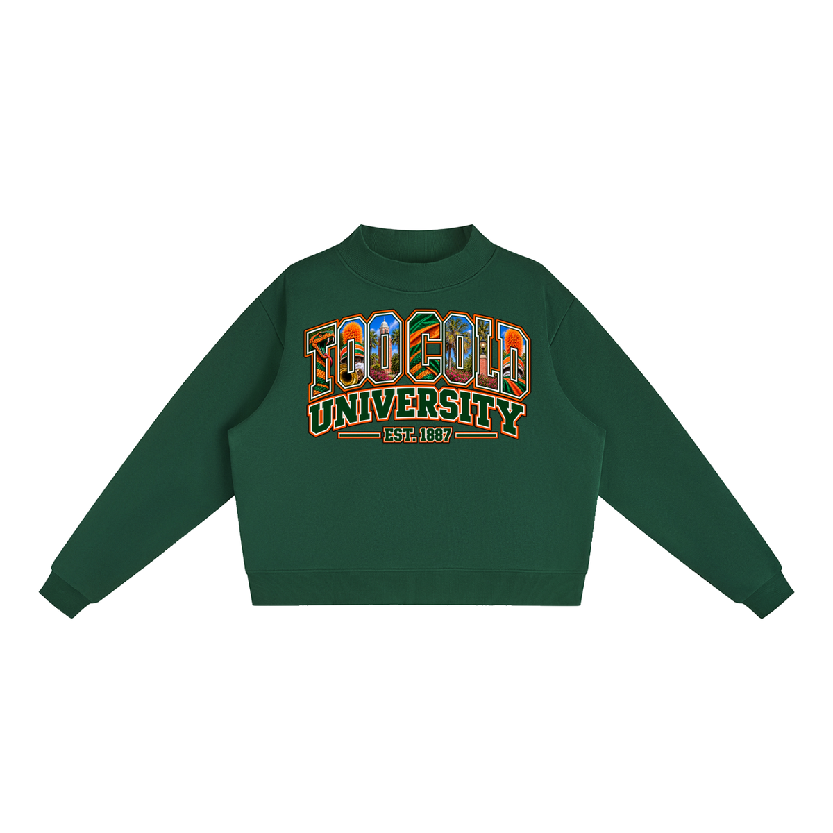 HBCU Too Cold Hoodie
