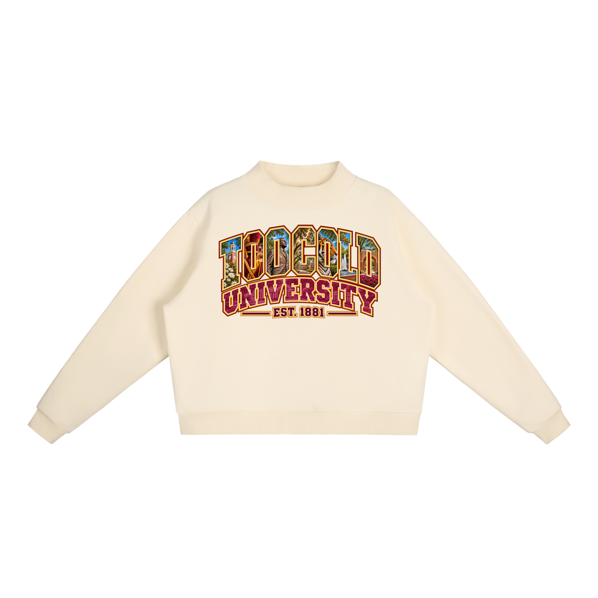 HBCU Too Cold Hoodie