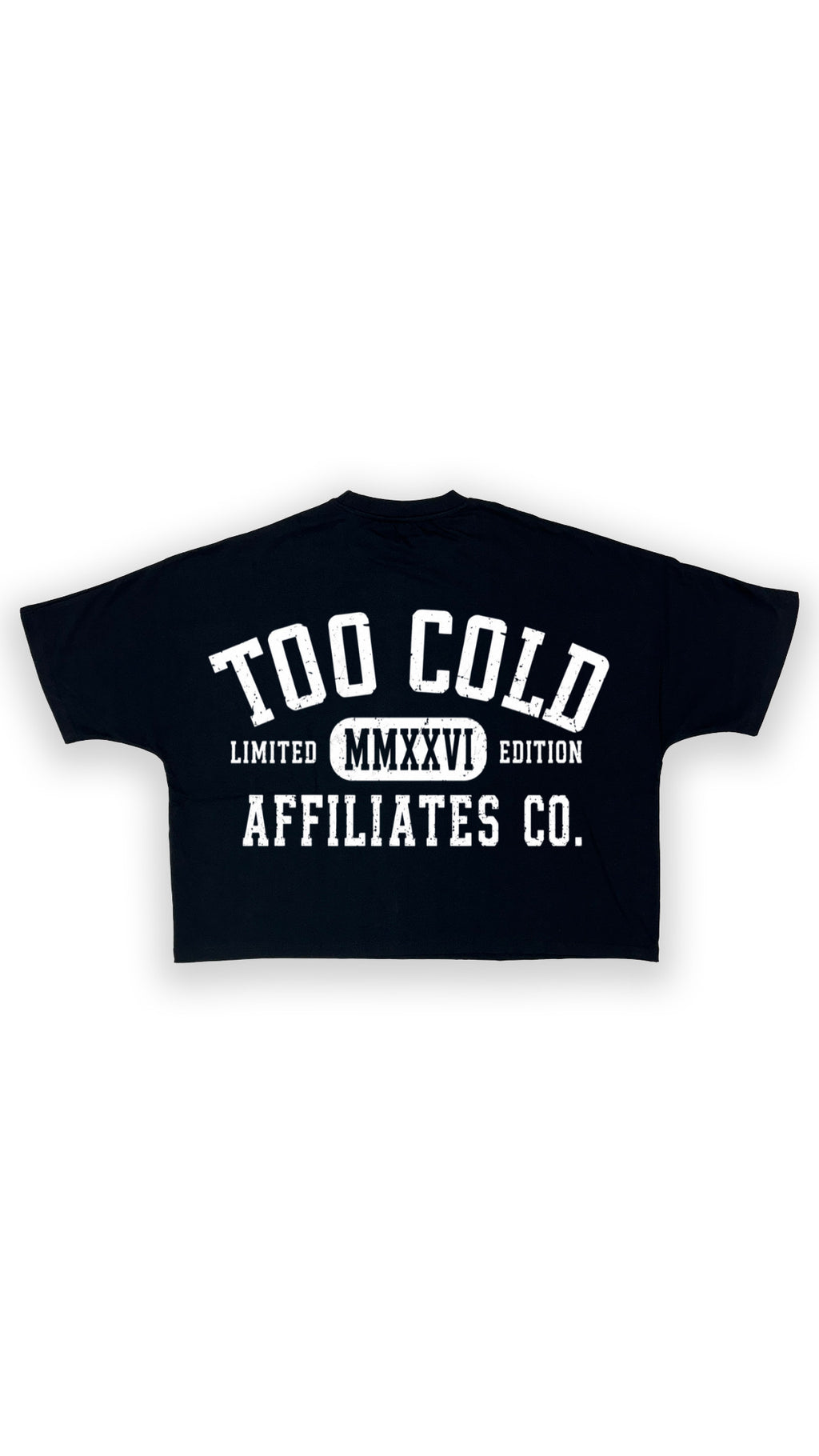 Too Cold Affiliates Tee