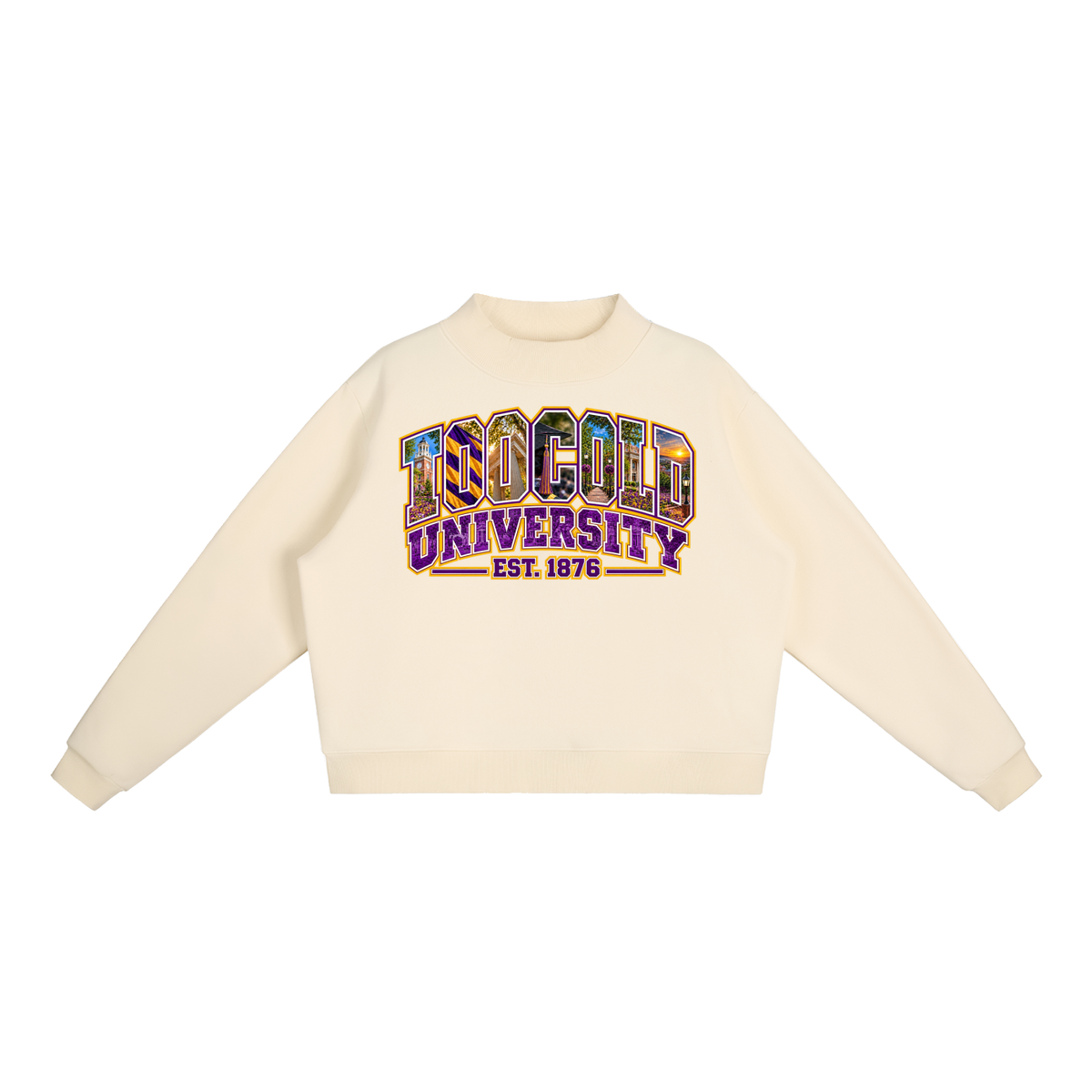 HBCU Too Cold Hoodie