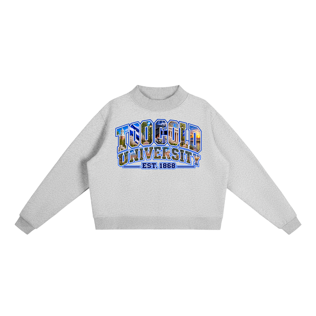 HBCU Too Cold Hoodie